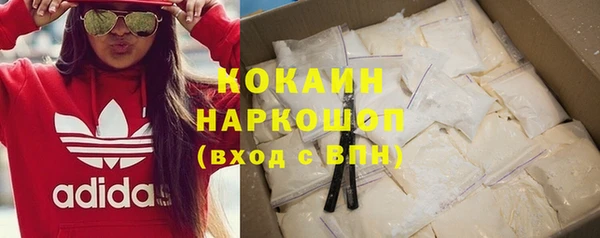 прущие грибы Абинск
