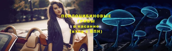 прущие грибы Абинск