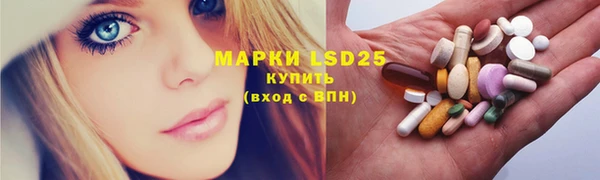 прущие грибы Абинск