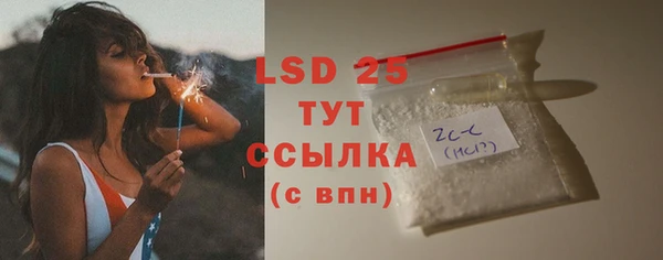 прущие грибы Абинск