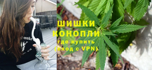 прущие грибы Абинск