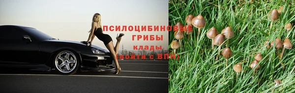 Альфа ПВП Абаза