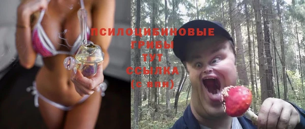 Альфа ПВП Абаза