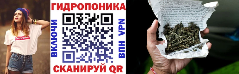где продают наркотики  мориарти телеграм  Шишки марихуана Bruce Banner  Усолье-Сибирское 